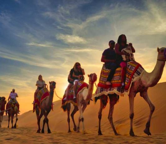 Desert Safari Dubai | Best Never-to-Be-Forgotten Experience